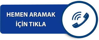 ECE hemen ara